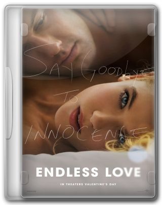 Capa do Filme Amor Sem Fim